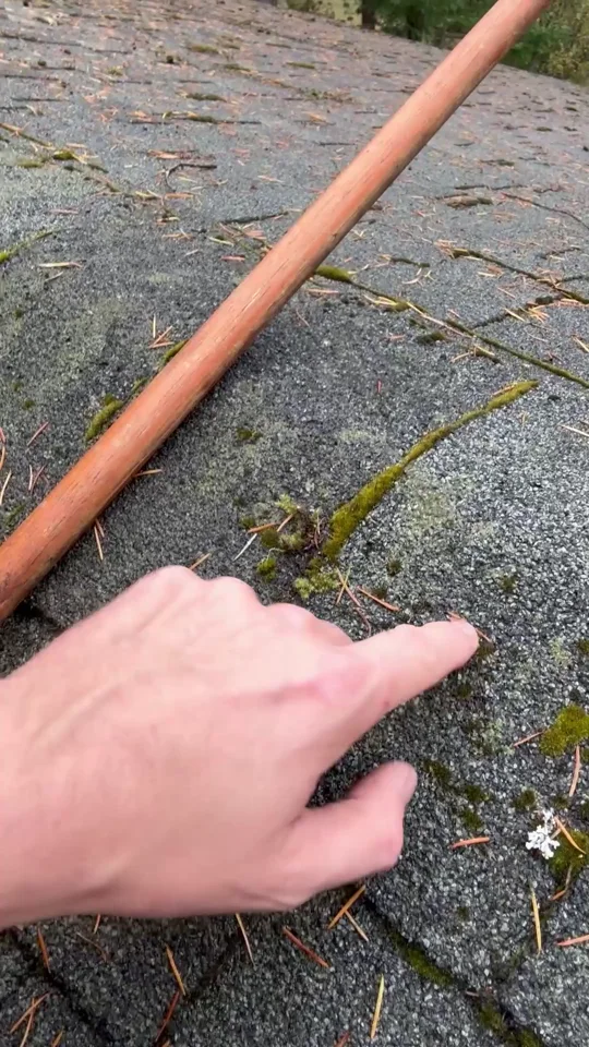Spreading growth on a granular shingle surface in Joseph’s video