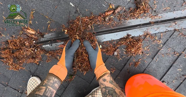 Gloved hands gathering needles and debris from a roof valley